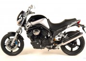 Yamaha BT1100 Bulldog Yamaha BT1100 Bulldog